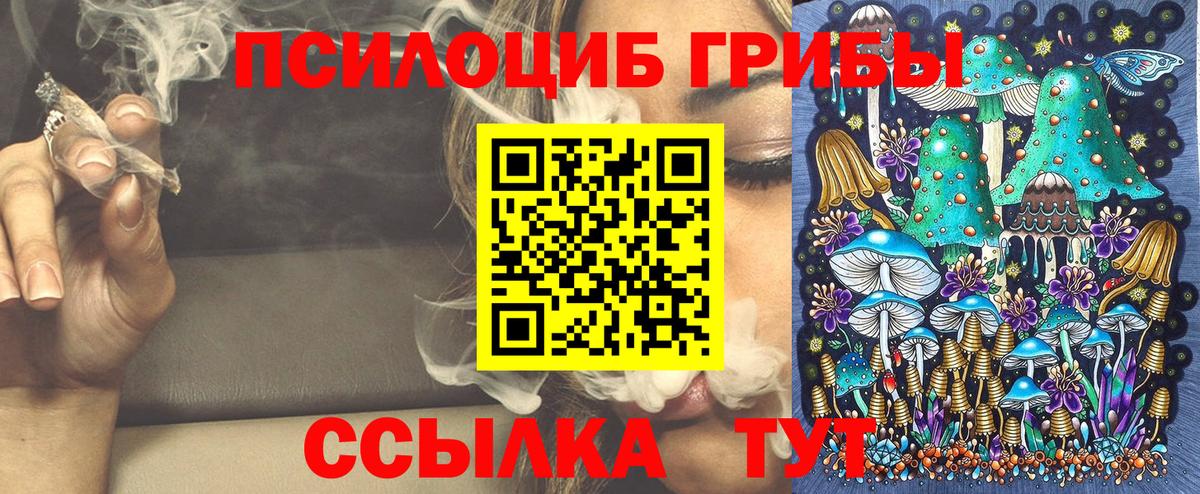 Магадан  Галлюциногенные грибы мицелий  купить   Вход с VPN 
